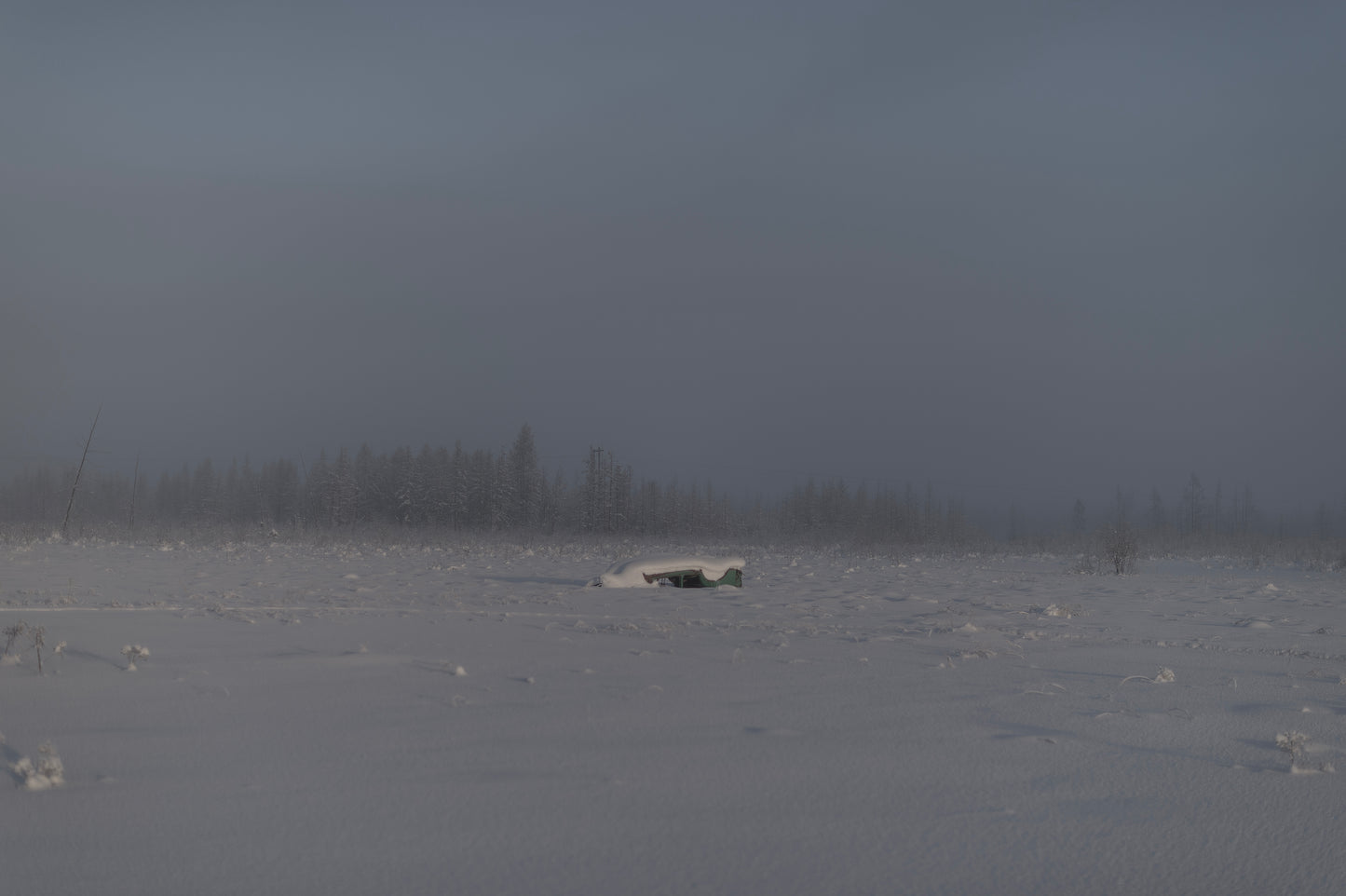 WINTER VOID