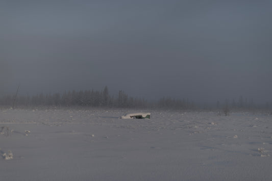 WINTER VOID